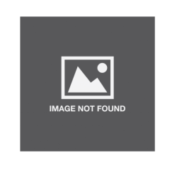 Zebra mobile docking station