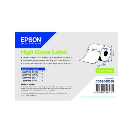 102x33 mt Epson rotolo carta HIGH GLOSS lucida per inkjet permanente C33S045538