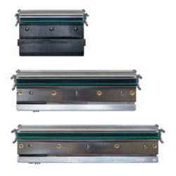 TSC print head