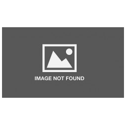 A7449 Feed roller 6 Novexx A7449